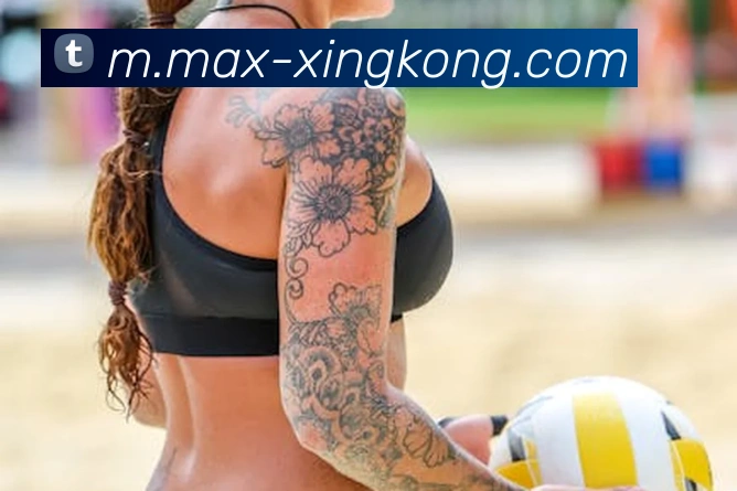 多媒体互动体验