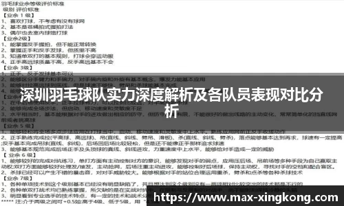 深圳羽毛球队实力深度解析及各队员表现对比分析